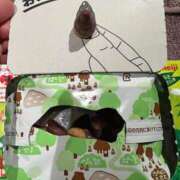 ヒメ日記 2025/12/03 12:16 投稿 結月 KINDAN-禁断-