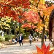 ヒメ日記 2026/10/14 23:04 投稿 結月 KINDAN-禁断-