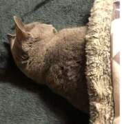 ヒメ日記 2025/01/16 16:13 投稿 沙織 ミセスハンドセラピー