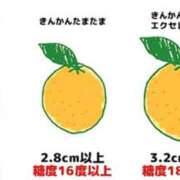 ヒメ日記 2025/01/18 15:12 投稿 沙織 ミセスハンドセラピー