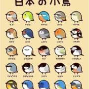 ヒメ日記 2025/01/24 17:10 投稿 沙織 ミセスハンドセラピー