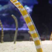 ヒメ日記 2025/02/05 16:08 投稿 沙織 ミセスハンドセラピー