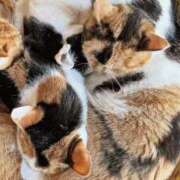 ヒメ日記 2025/02/22 18:35 投稿 沙織 ミセスハンドセラピー