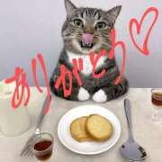 ヒメ日記 2025/02/23 16:03 投稿 沙織 ミセスハンドセラピー