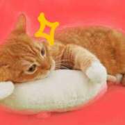 ヒメ日記 2025/02/26 18:40 投稿 沙織 ミセスハンドセラピー