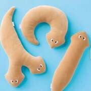 ヒメ日記 2025/03/08 12:46 投稿 沙織 ミセスハンドセラピー