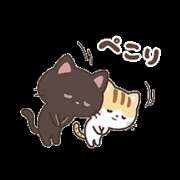 ヒメ日記 2025/03/13 16:16 投稿 沙織 ミセスハンドセラピー