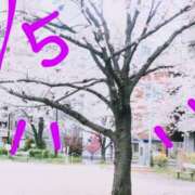 ヒメ日記 2025/04/05 17:21 投稿 沙織 ミセスハンドセラピー