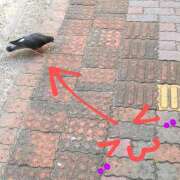 ヒメ日記 2025/04/30 19:06 投稿 沙織 ミセスハンドセラピー