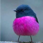 ヒメ日記 2025/05/12 16:19 投稿 沙織 ミセスハンドセラピー