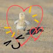 ヒメ日記 2025/07/09 17:22 投稿 沙織 ミセスハンドセラピー