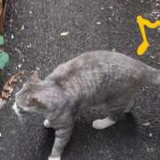 ヒメ日記 2025/08/13 12:29 投稿 沙織 ミセスハンドセラピー