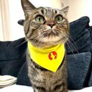 ヒメ日記 2025/09/03 19:15 投稿 沙織 ミセスハンドセラピー