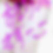 ヒメ日記 2025/11/04 16:21 投稿 沙織 ミセスハンドセラピー