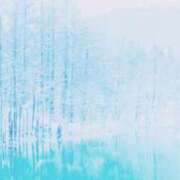 ヒメ日記 2026/02/07 16:12 投稿 沙織 ミセスハンドセラピー