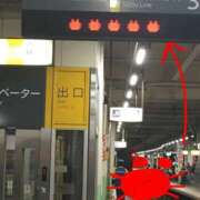 ヒメ日記 2026/04/07 17:55 投稿 沙織 ミセスハンドセラピー