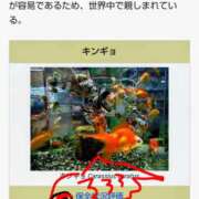 ヒメ日記 2026/04/17 21:21 投稿 沙織 ミセスハンドセラピー