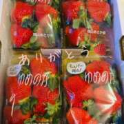 ヒメ日記 2025/01/22 13:20 投稿 うさ タレント倶楽部アダルト