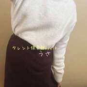 ヒメ日記 2025/02/05 17:38 投稿 うさ タレント倶楽部アダルト