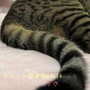 ヒメ日記 2025/03/10 22:32 投稿 うさ タレント倶楽部アダルト