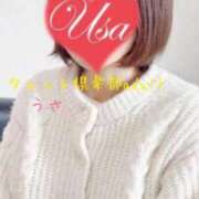 ヒメ日記 2025/03/13 19:14 投稿 うさ タレント倶楽部アダルト