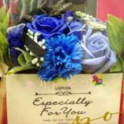 ヒメ日記 2025/03/19 23:38 投稿 うさ タレント倶楽部アダルト