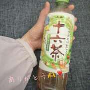 ヒメ日記 2025/04/12 10:26 投稿 うさ タレント倶楽部アダルト