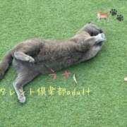 ヒメ日記 2025/05/14 19:58 投稿 うさ タレント倶楽部アダルト