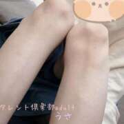 ヒメ日記 2025/05/18 19:48 投稿 うさ タレント倶楽部アダルト