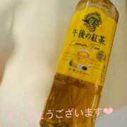 ヒメ日記 2025/06/26 13:16 投稿 うさ タレント倶楽部アダルト