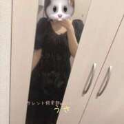 ヒメ日記 2025/07/08 19:32 投稿 うさ タレント倶楽部アダルト