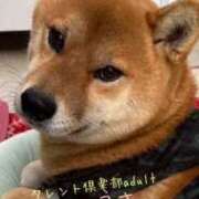 ヒメ日記 2025/08/15 20:30 投稿 うさ タレント倶楽部アダルト