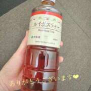 ヒメ日記 2025/08/19 04:12 投稿 うさ タレント倶楽部アダルト