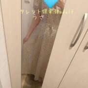 ヒメ日記 2025/09/07 15:00 投稿 うさ タレント倶楽部アダルト