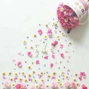 ヒメ日記 2025/11/25 11:38 投稿 うさ タレント倶楽部アダルト