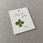 うさ いつもありがとう?* タレント倶楽部アダルト