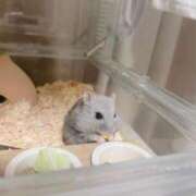 ヒメ日記 2025/06/16 01:58 投稿 田中 人妻楼 木更津店