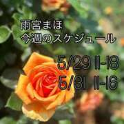 ヒメ日記 2025/05/28 07:19 投稿 雨宮まほ OtoLABO～前立腺マッサージ（ドライオーガズム）専門店～
