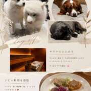 ヒメ日記 2026/07/30 15:38 投稿 あおば 夜這い物語