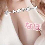 ヒメ日記 2025/02/20 10:56 投稿 なほ 大阪ぽっちゃりマニア 十三店