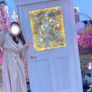 ヒメ日記 2025/04/06 13:26 投稿 なほ 大阪ぽっちゃりマニア 十三店