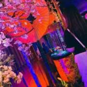 ヒメ日記 2025/05/15 07:38 投稿 なほ 大阪ぽっちゃりマニア 十三店