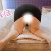 ヒメ日記 2025/11/15 09:10 投稿 なほ 大阪ぽっちゃりマニア 十三店