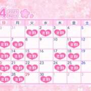 ヒメ日記 2025/04/01 14:40 投稿 あおば メイドde本舗