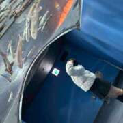 ヒメ日記 2026/01/30 13:02 投稿 あおば メイドde本舗