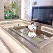 ヒメ日記 2025/06/20 22:14 投稿 なこ 学園collection