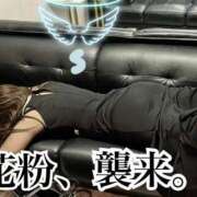 ヒメ日記 2025/03/15 08:44 投稿 夏帆 京都痴女性感フェチ倶楽部