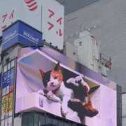 ヒメ日記 2025/05/20 13:04 投稿 夏帆 京都痴女性感フェチ倶楽部