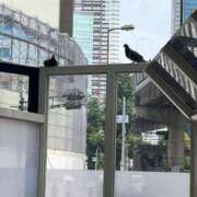 ヒメ日記 2025/07/03 22:34 投稿 夏帆 京都痴女性感フェチ倶楽部