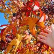 ヒメ日記 2025/12/01 13:04 投稿 夏帆 京都痴女性感フェチ倶楽部